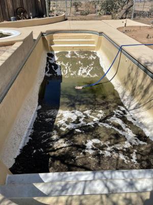 Pool Cleaning, Pool Pump Repair, Tile and Pebble Repair, Acid Washing Maricopa AZ