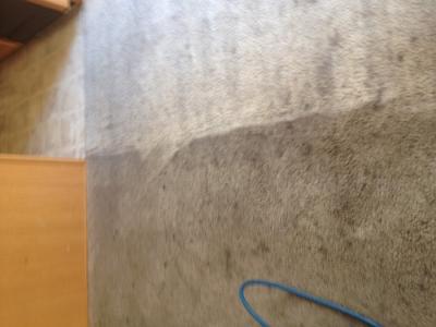 Carpet Cleaners in Maricopa | Residential & Commercial Carpet Cleaning