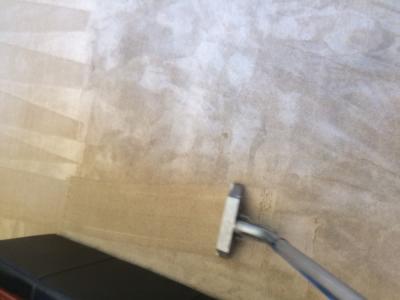 Carpet Cleaners in Maricopa | Residential & Commercial Carpet Cleaning