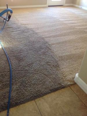 Carpet Cleaners in Maricopa | Residential & Commercial Carpet Cleaning